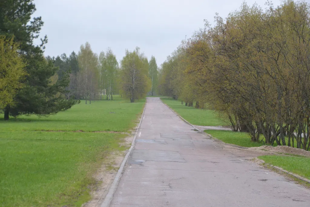 Усадьба среди берез, фото 9