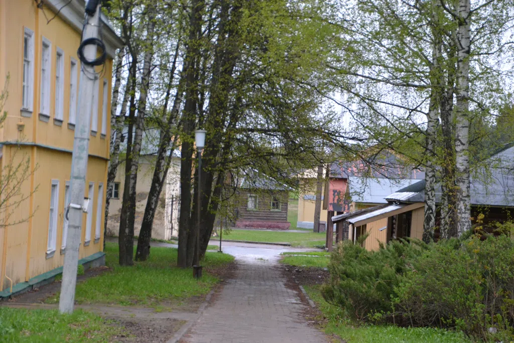 Усадьба среди берез, фото 2