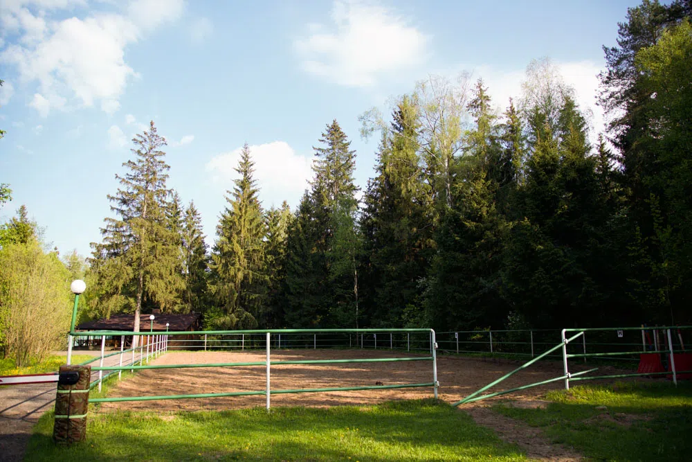 Конный клуб с манежем, фото 15