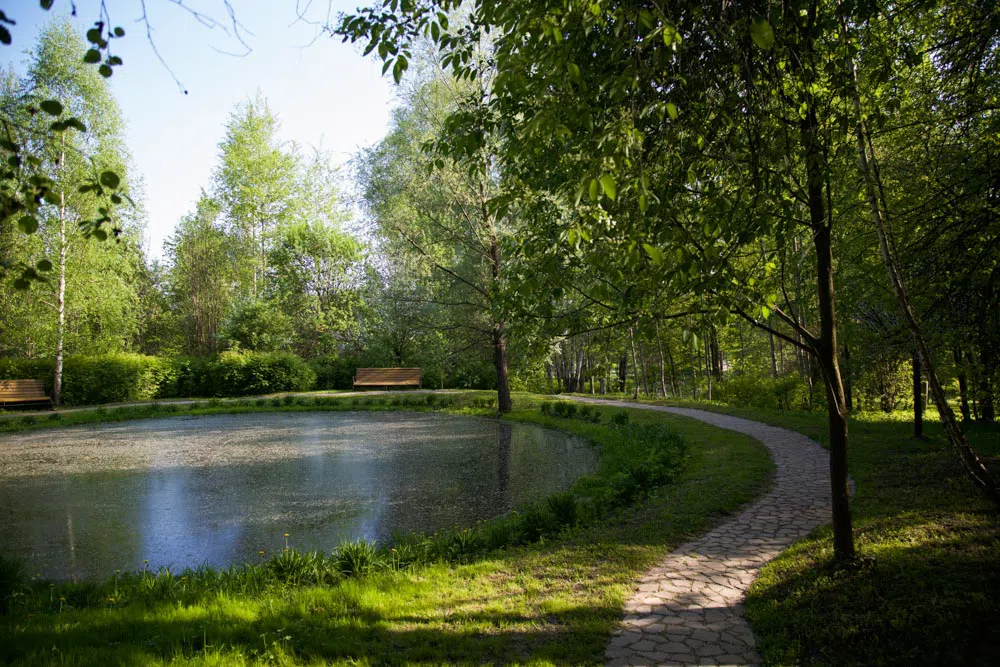 Парк у пруда с мельницей, фото 9