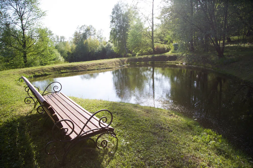 Парк у пруда с мельницей, фото 12