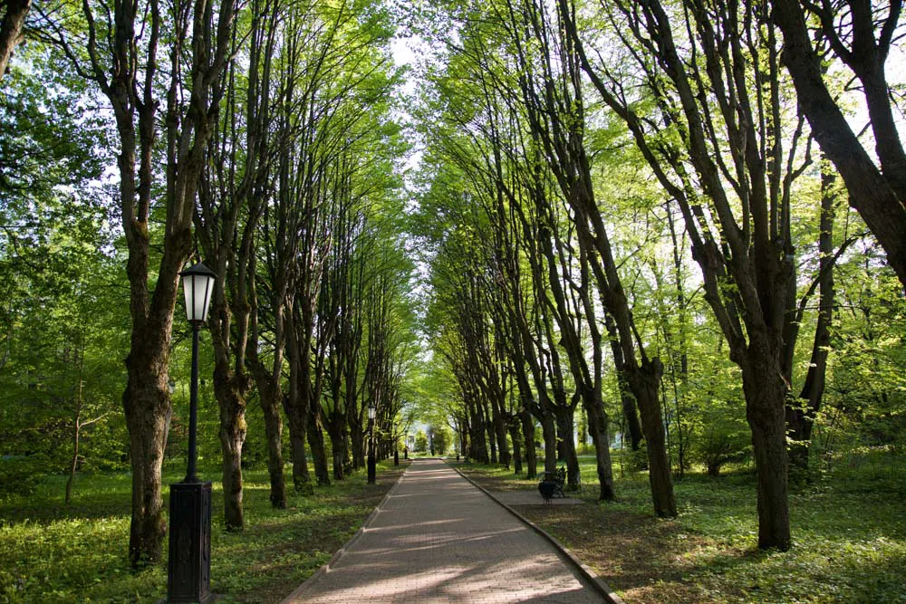 Парк у пруда с мельницей, фото 18