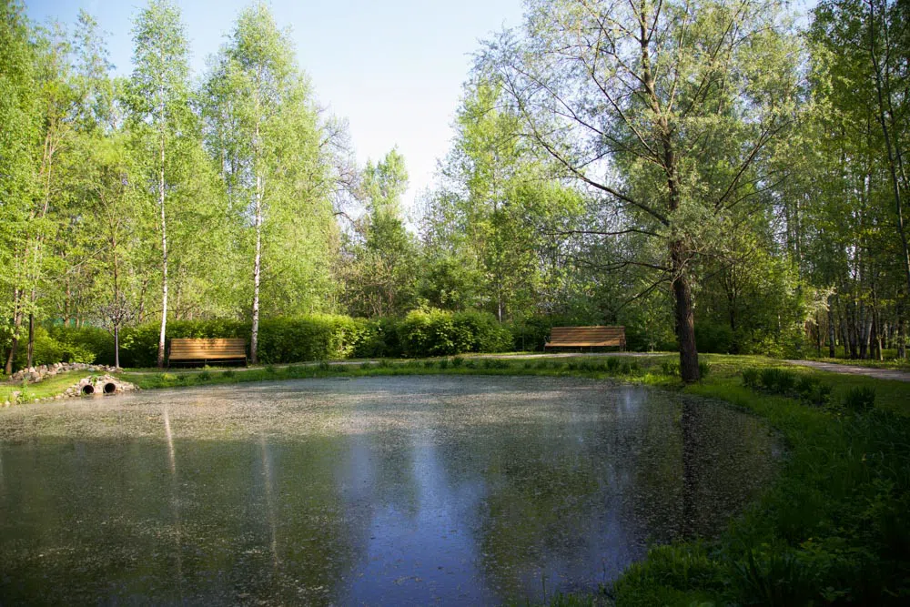 Парк у пруда с мельницей, фото 8