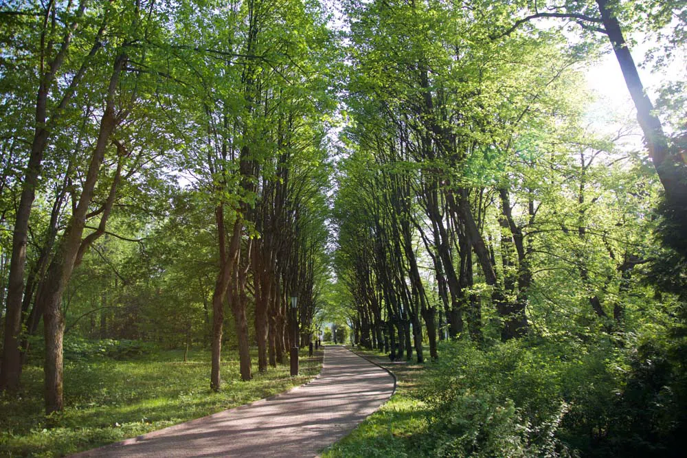 Парк у пруда с мельницей, фото 17