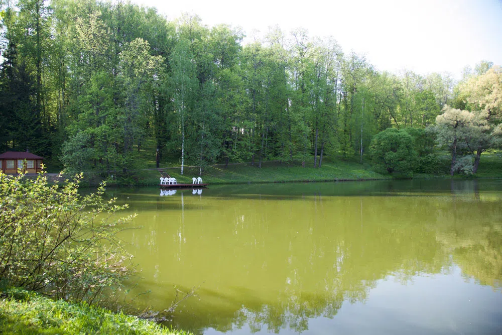 Парк у пруда с мельницей, фото 15