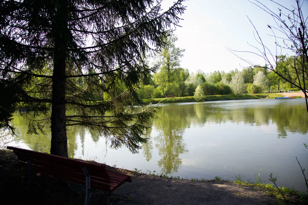 Парк у пруда с мельницей, фото 6