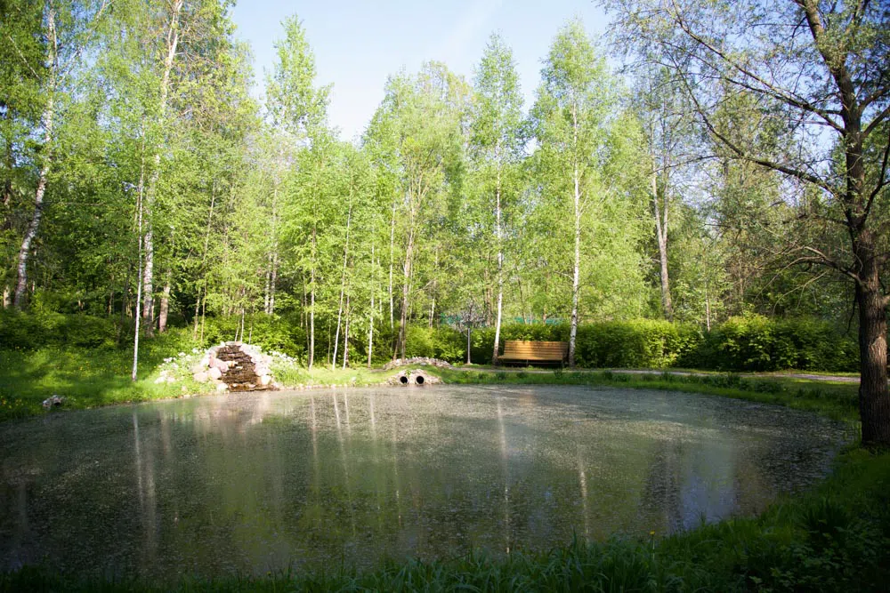 Парк у пруда с мельницей, фото 7