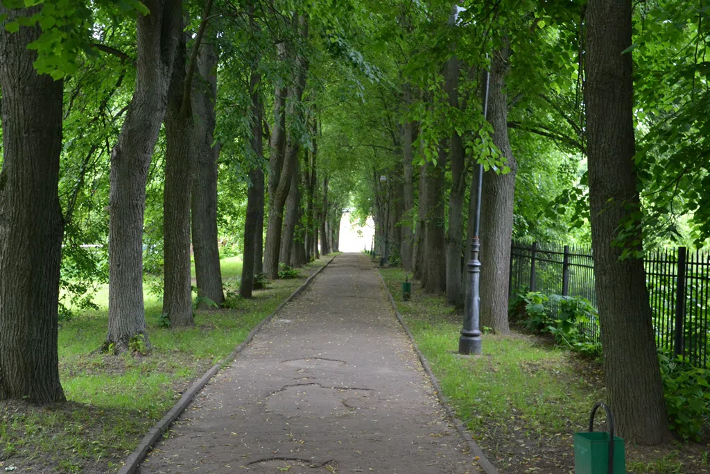Старый парк с аллеями, фото 13