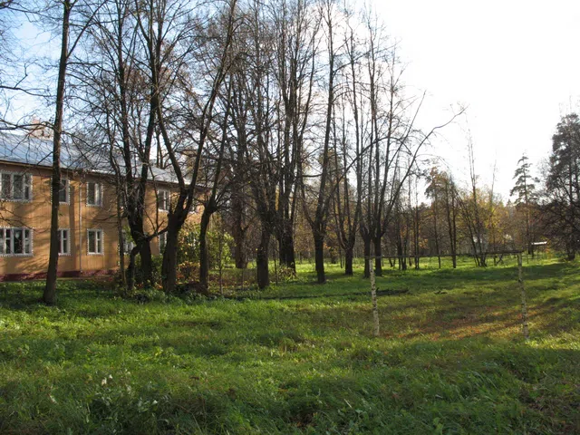 Деревянный терем с резным крыльцом, фото 18