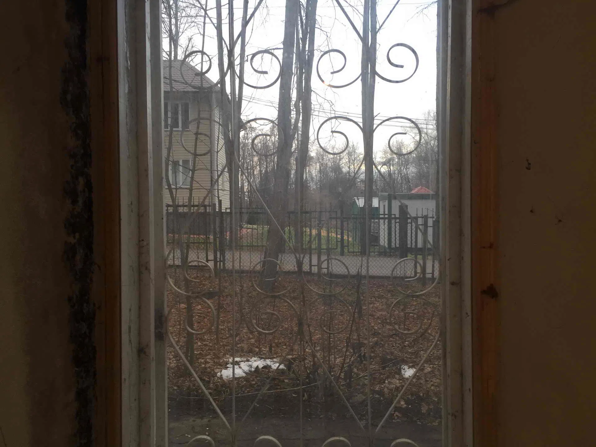 Кабинет на фоне леса, фото 22