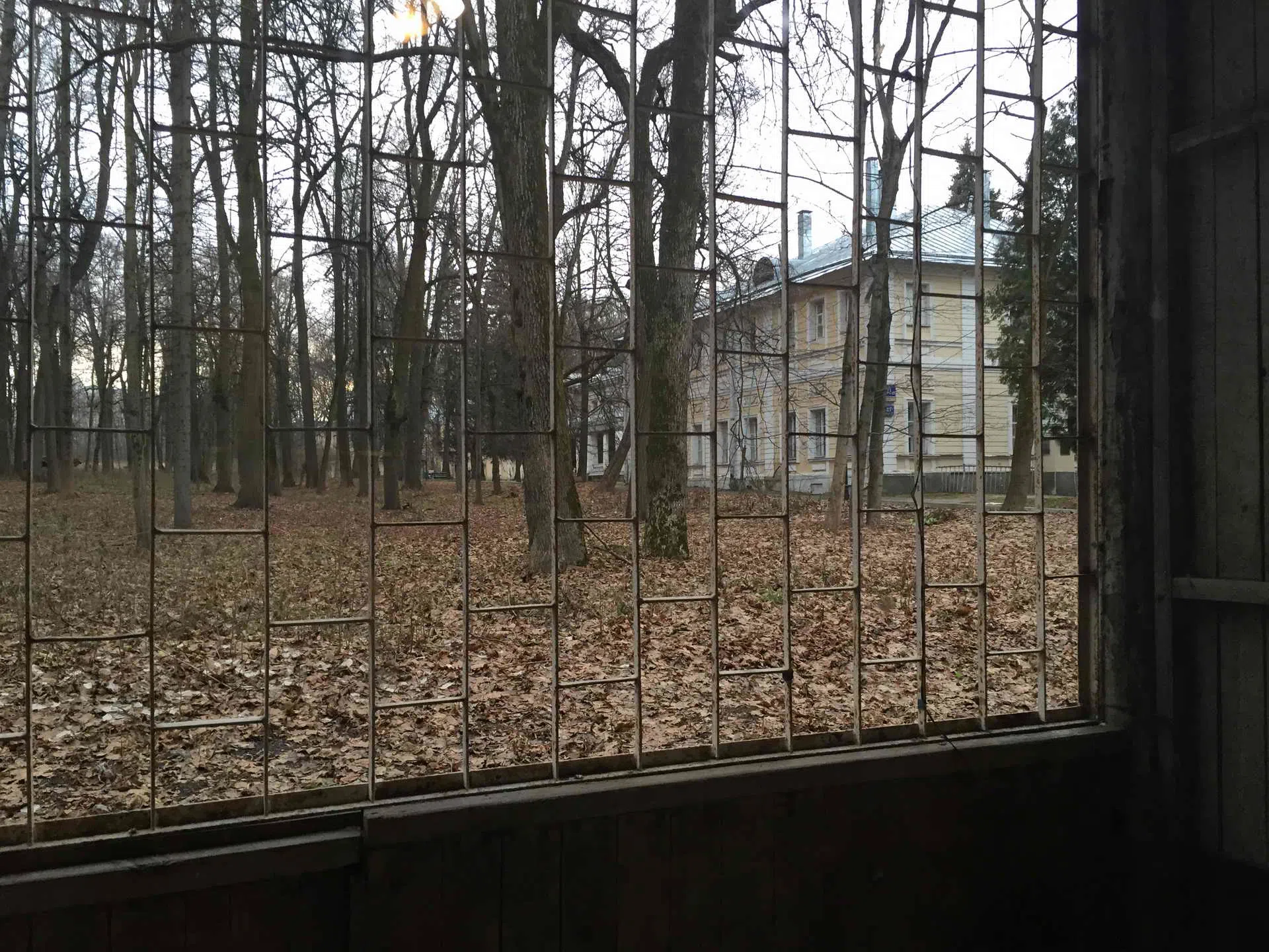 Кабинет на фоне леса, фото 4