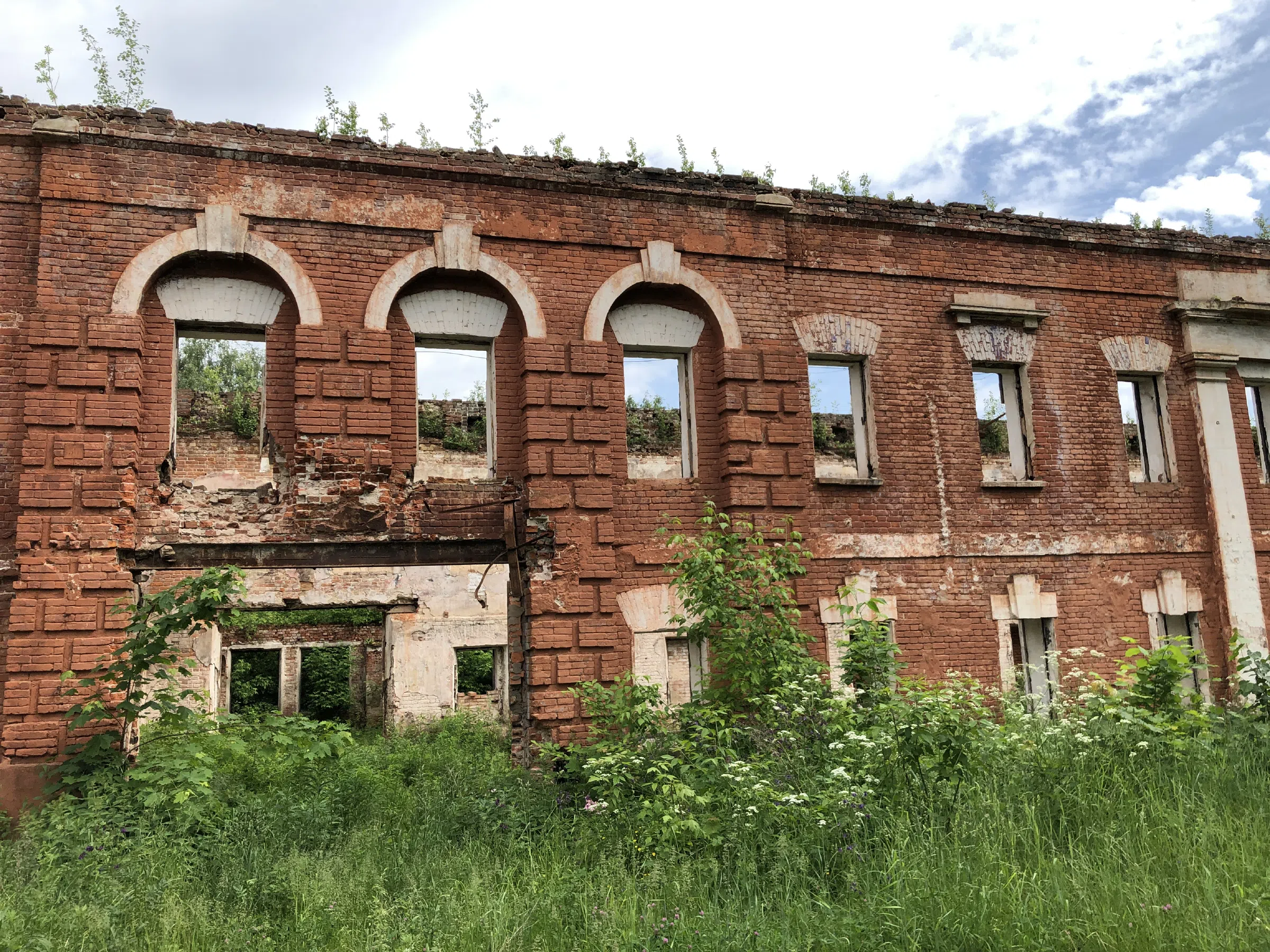 Зеленый дом с палисадником, фото 22