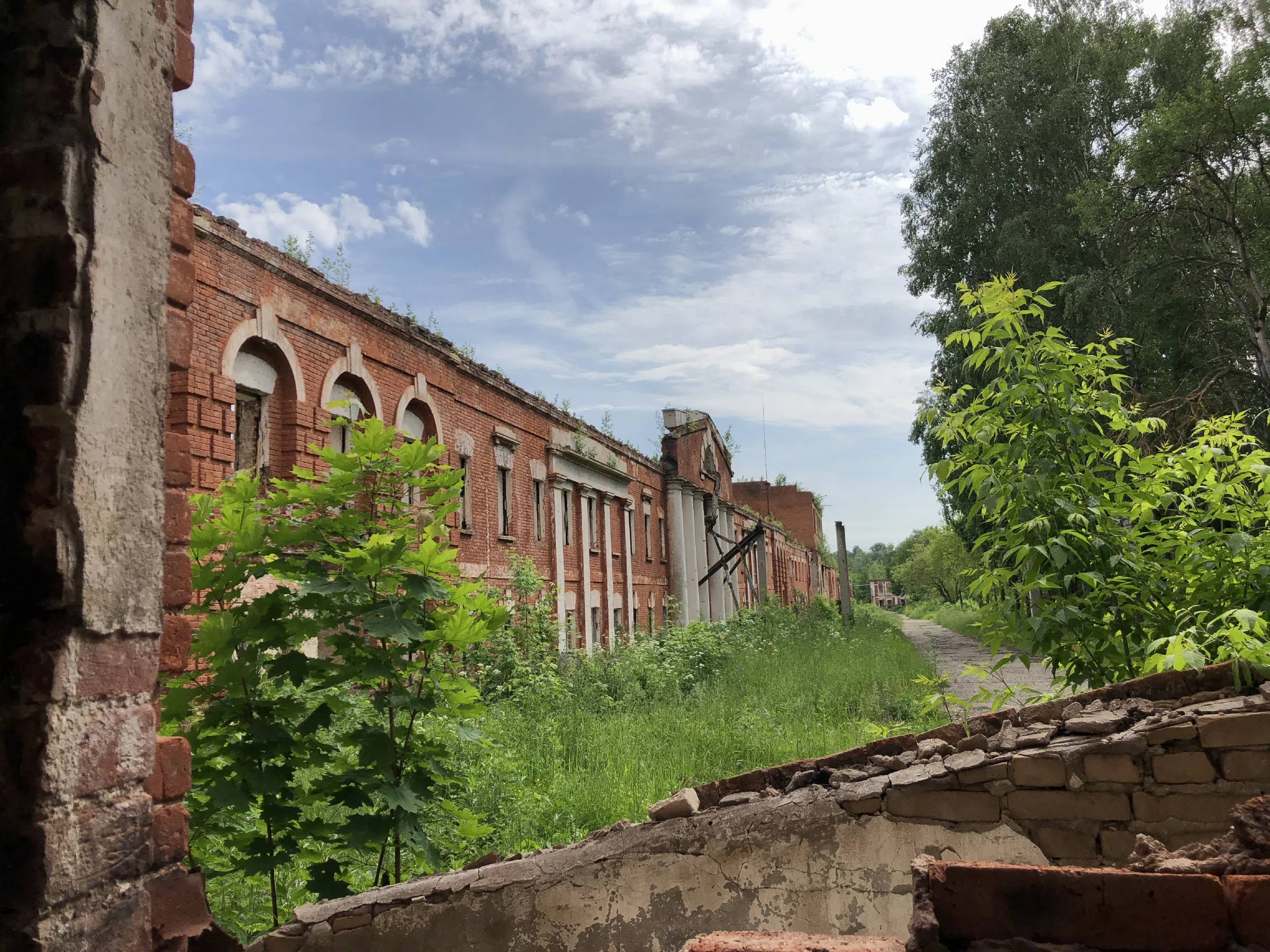Зеленый дом с палисадником, фото 20