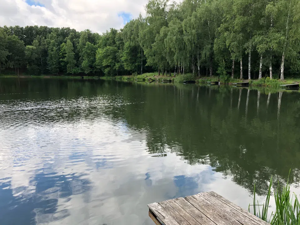Пансионат с прудом, фото 6