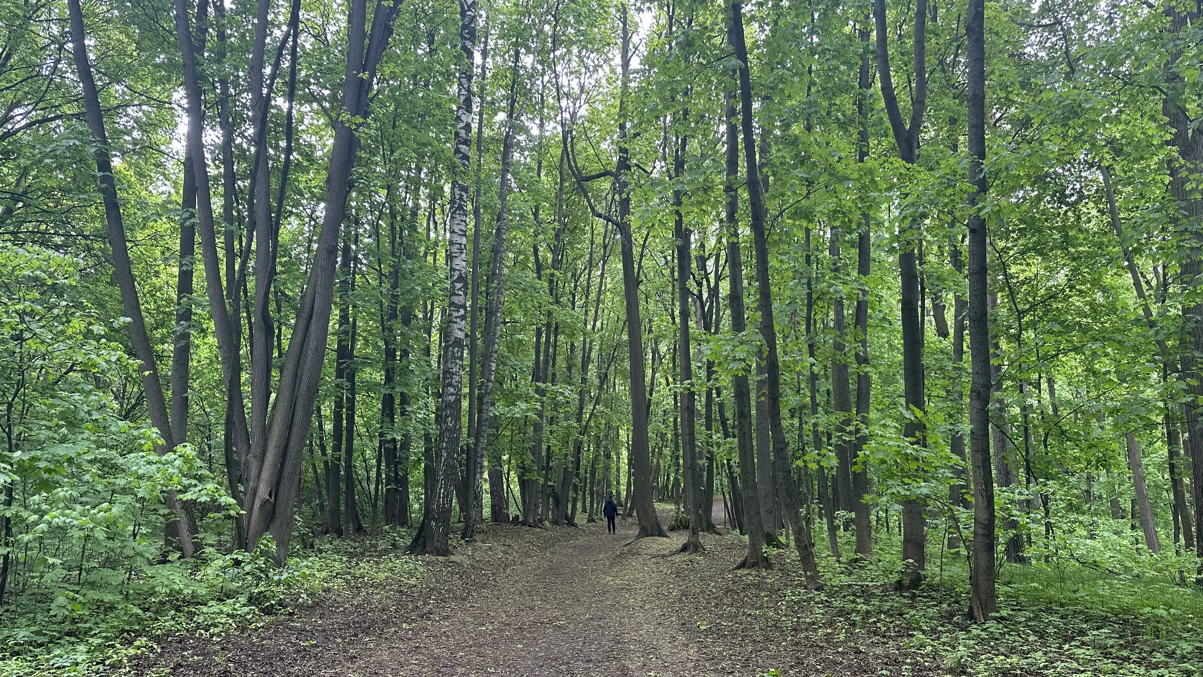 Парадная усадьба-галерея, фото 19