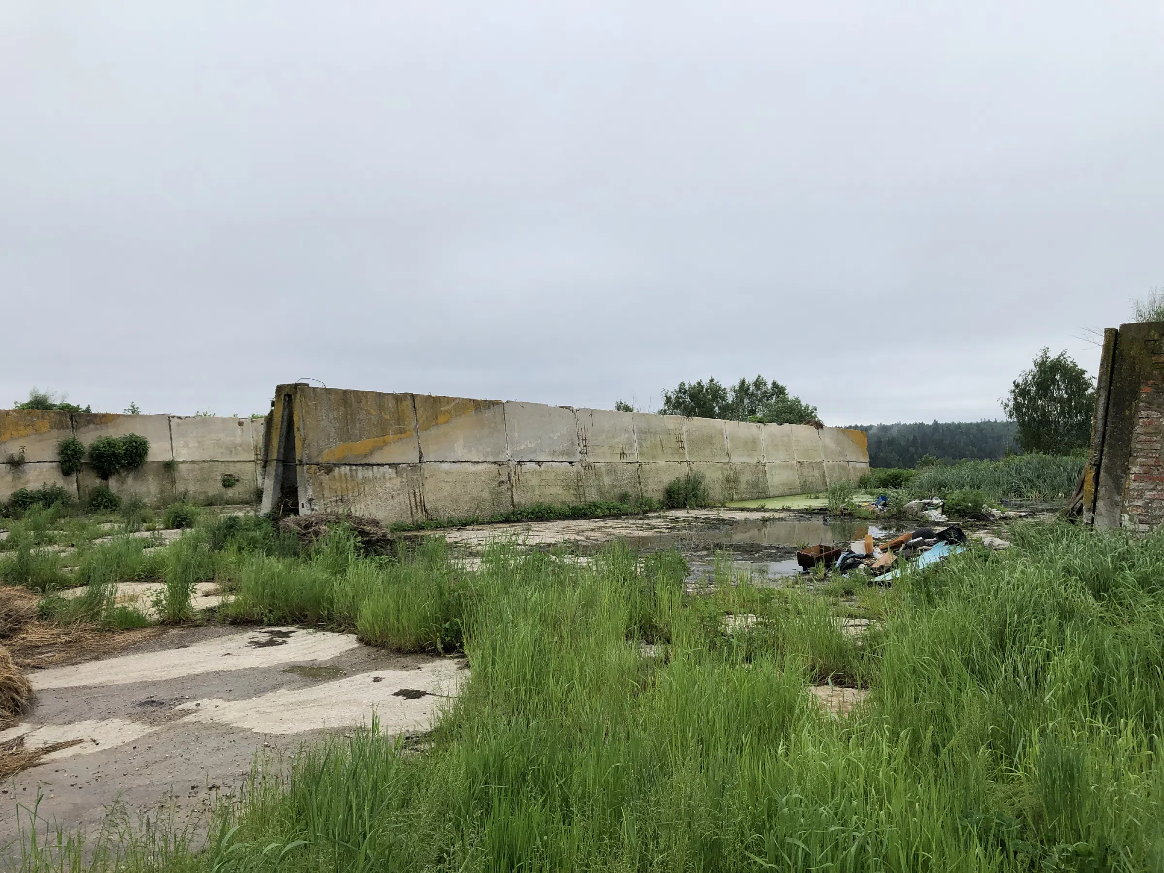Заброшенная ферма в поле, фото 8
