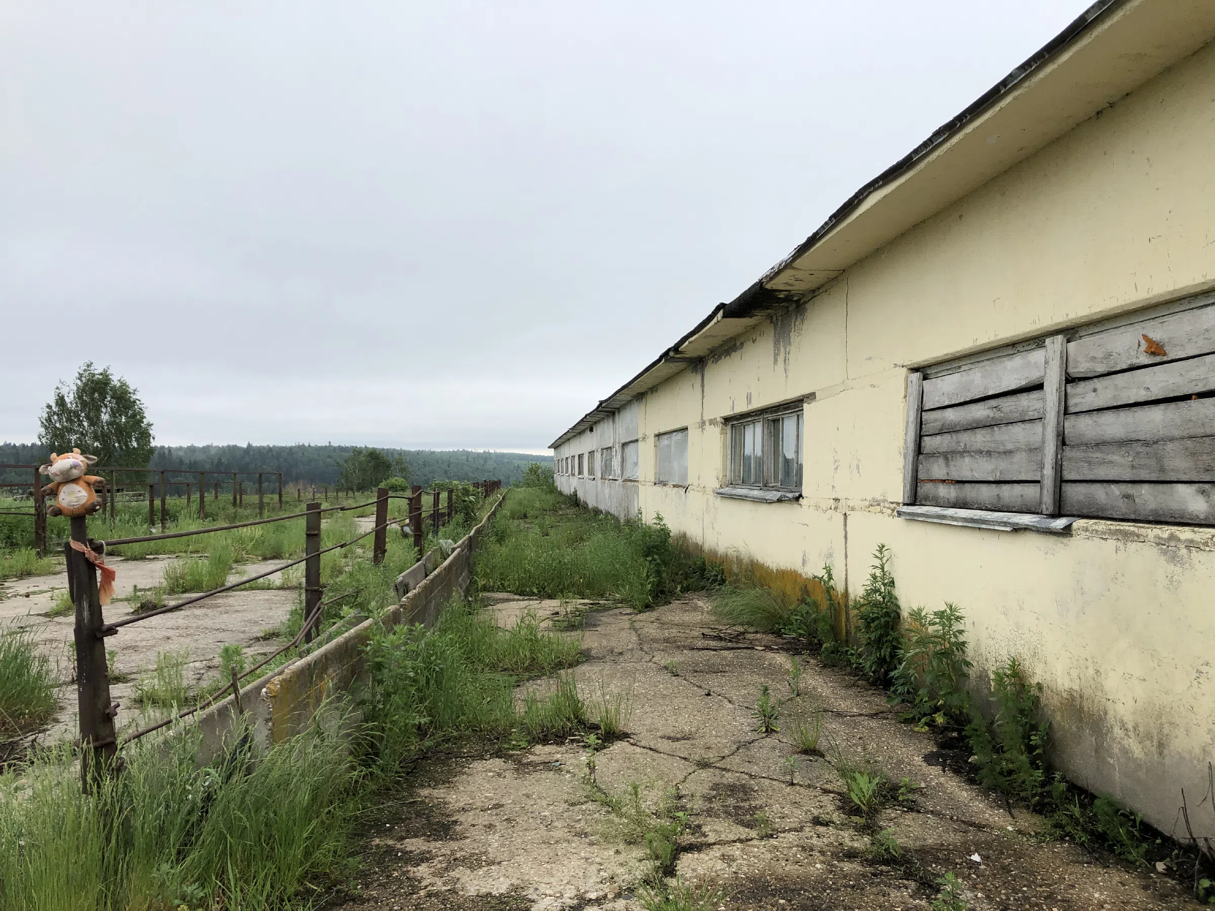 Заброшенная ферма в поле, фото 10