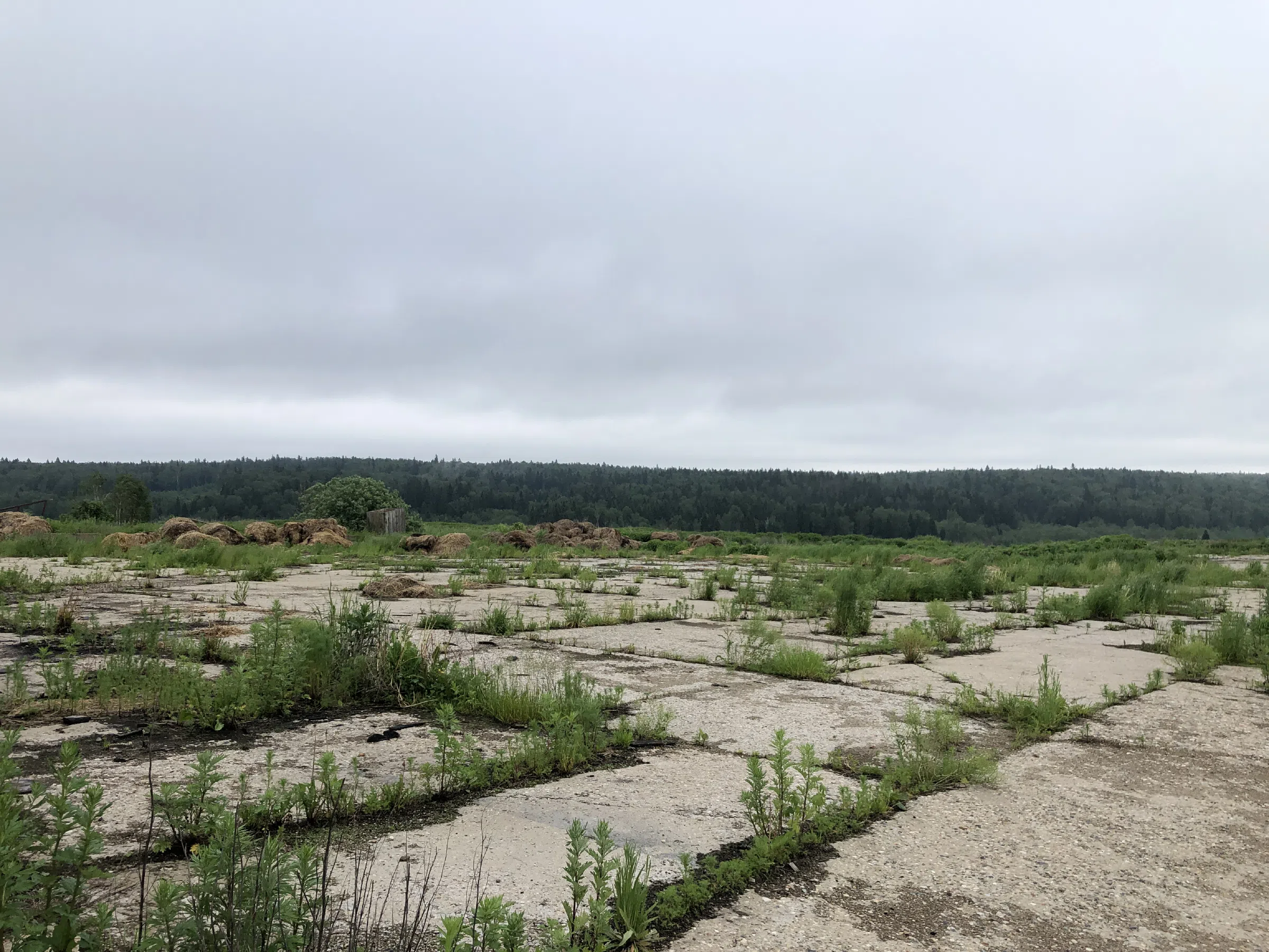 Заброшенная ферма в поле, фото 24