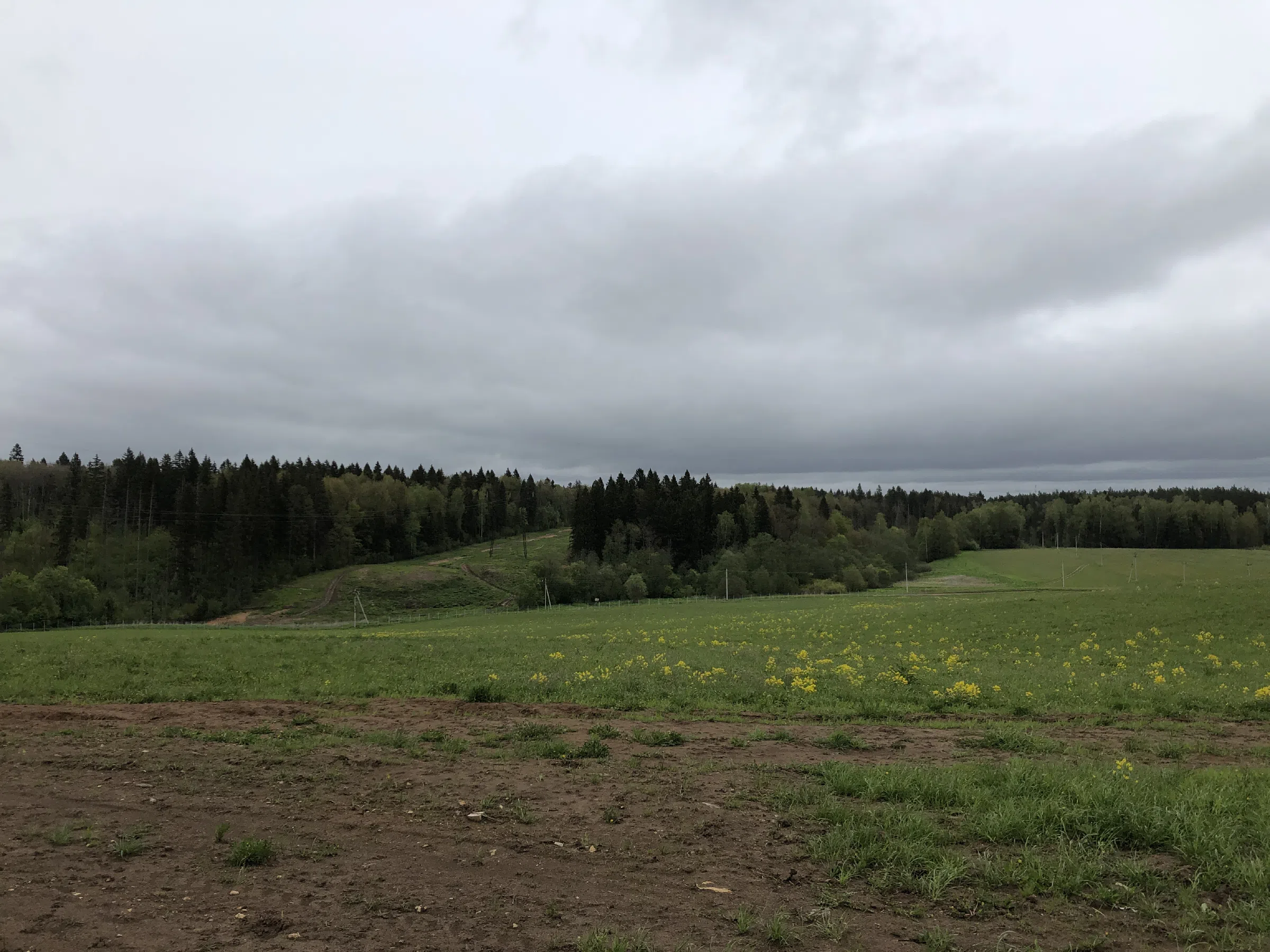 Большая ферма с коровами, фото 7