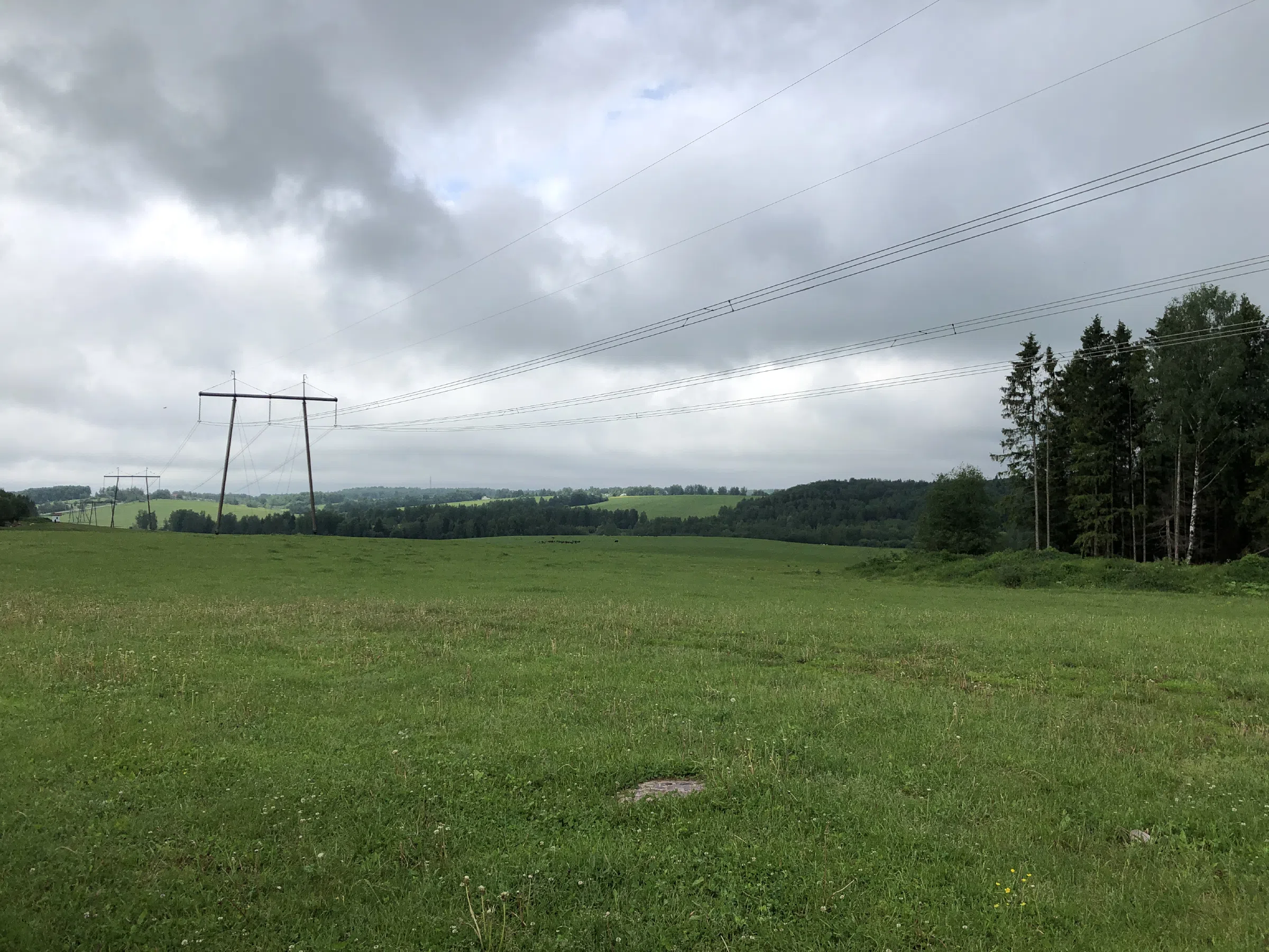 Ферма в поле с ЛЭП, фото 22