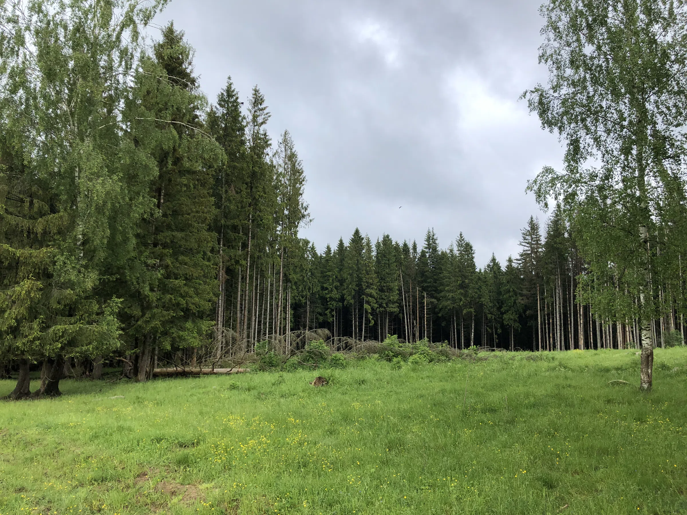 Ферма в поле с ЛЭП, фото 23