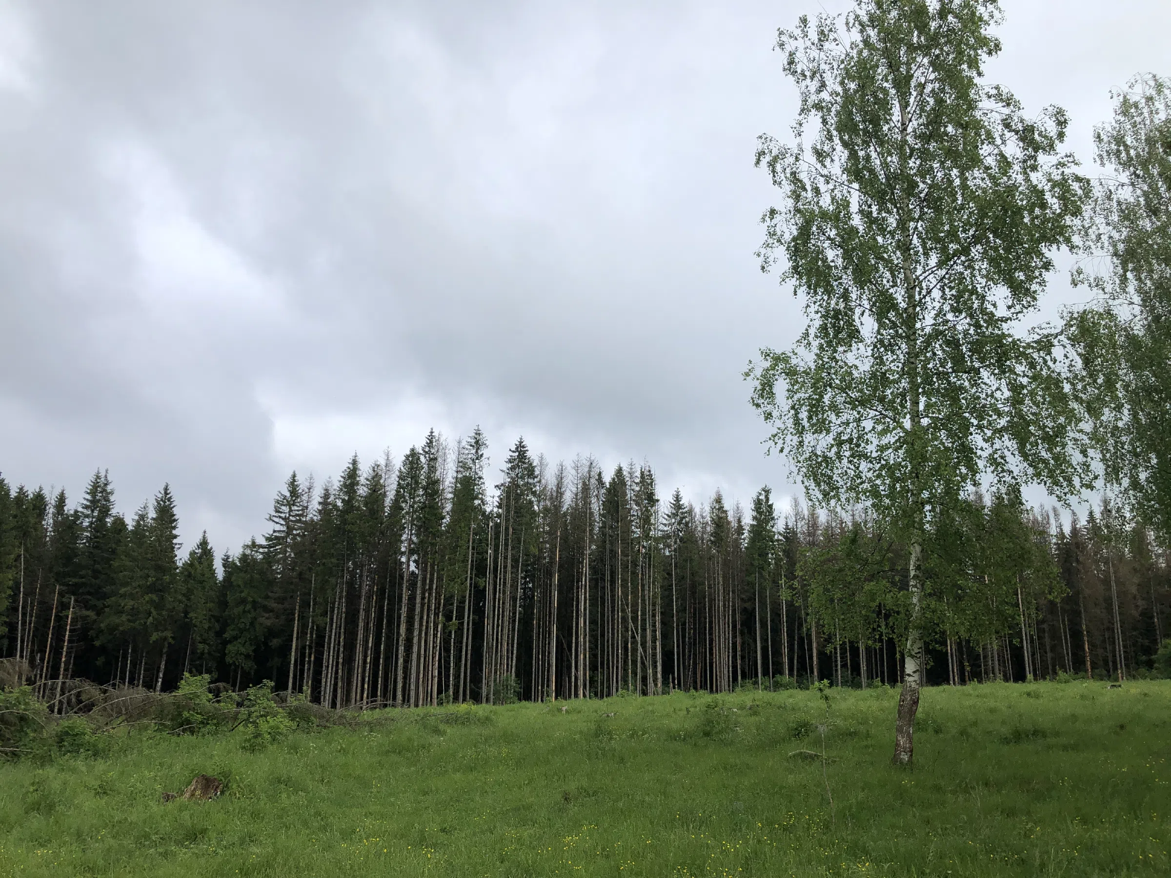 Ферма в поле с ЛЭП, фото 24
