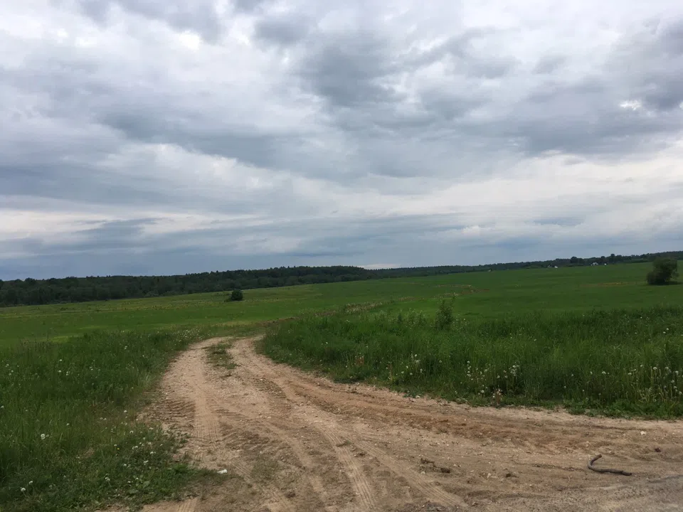 Эко-деревня в лесу, фото 2