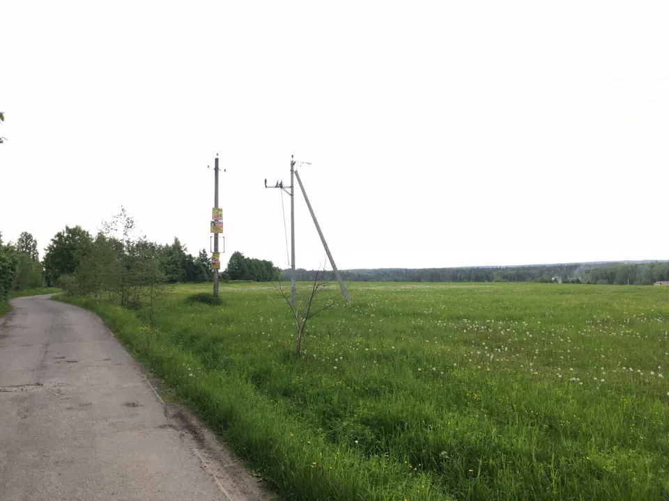 Дача в поле с лесом, фото 1