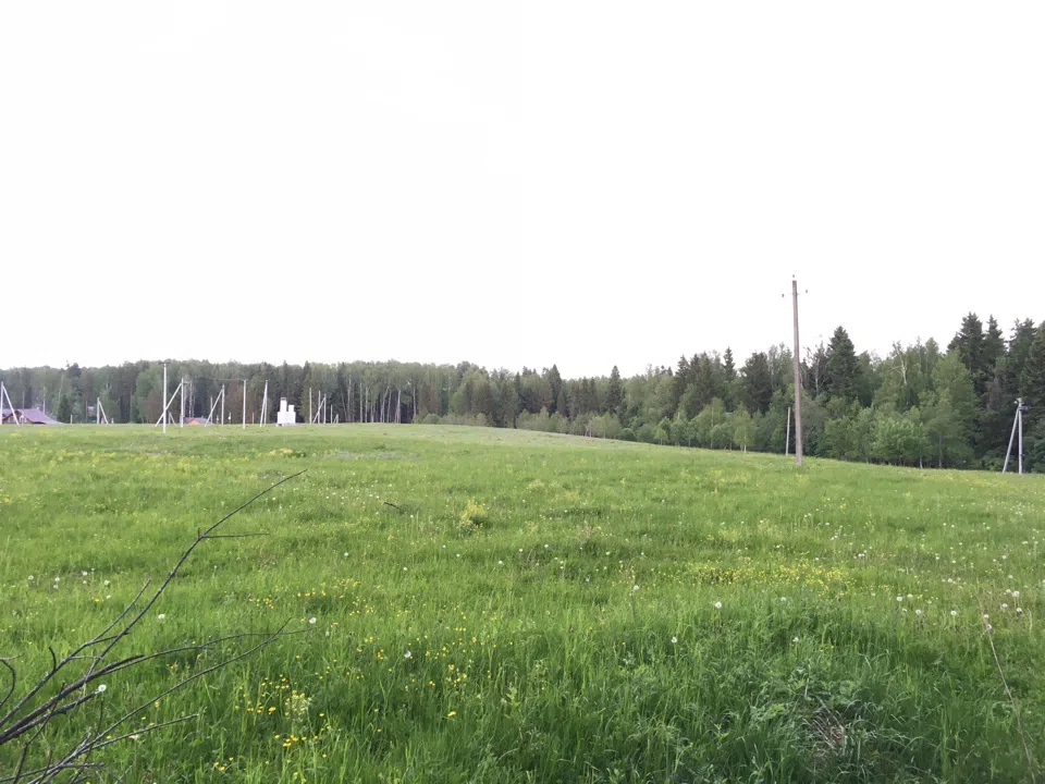 Дача в поле с лесом, фото 3