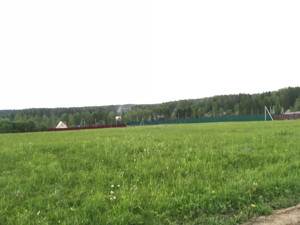 Дача в поле с лесом, фото 4