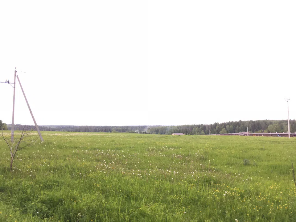 Дача в поле с лесом, фото 2
