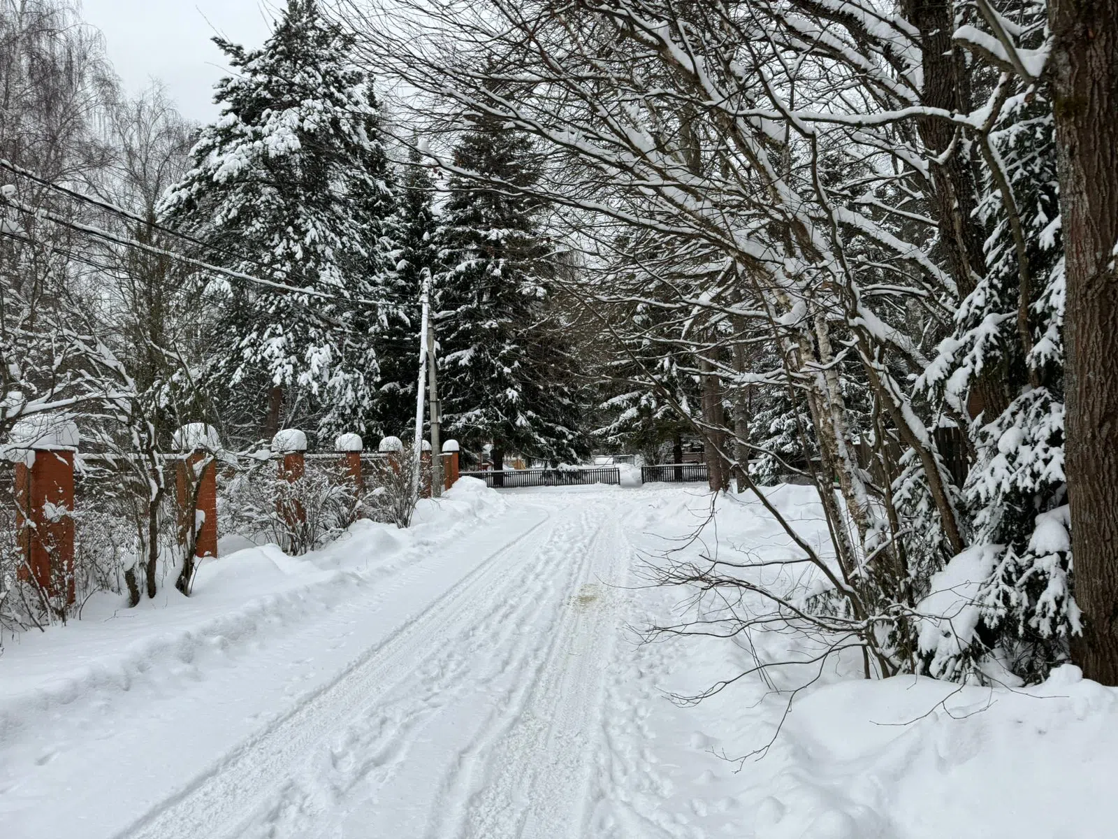 Розовая Дача Зимой, фото 2
