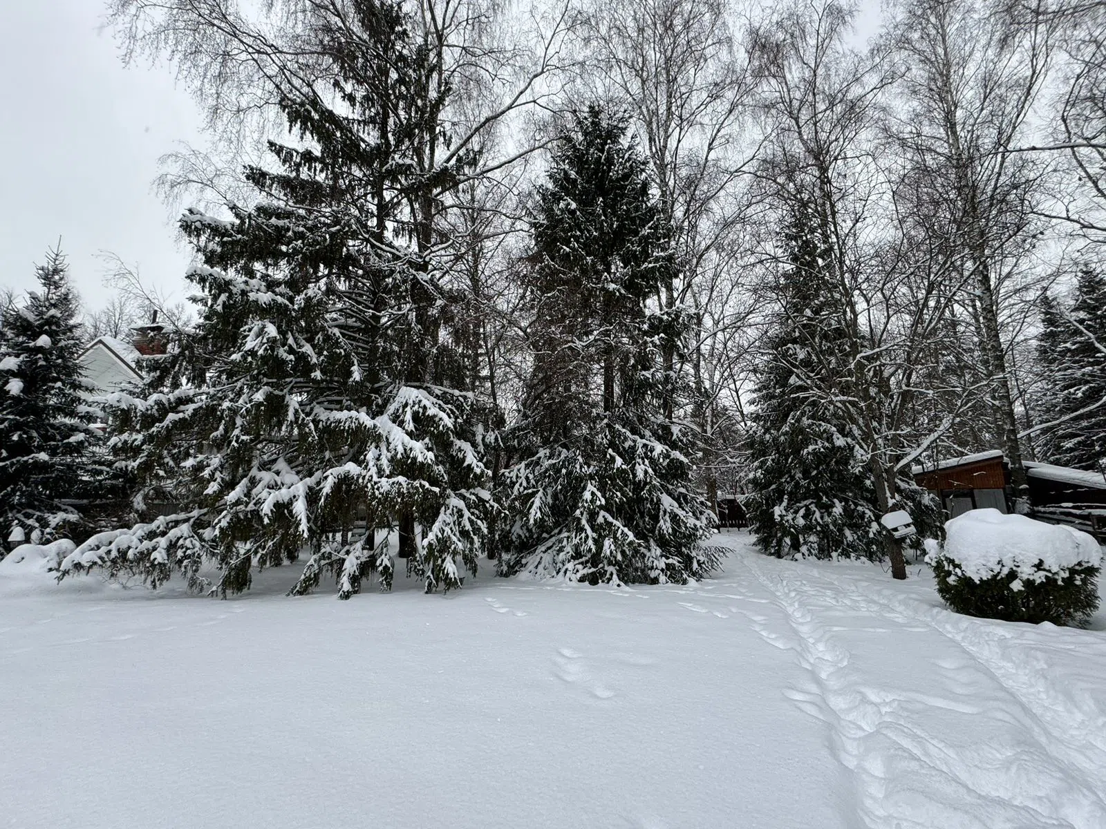 Розовая Дача Зимой, фото 9