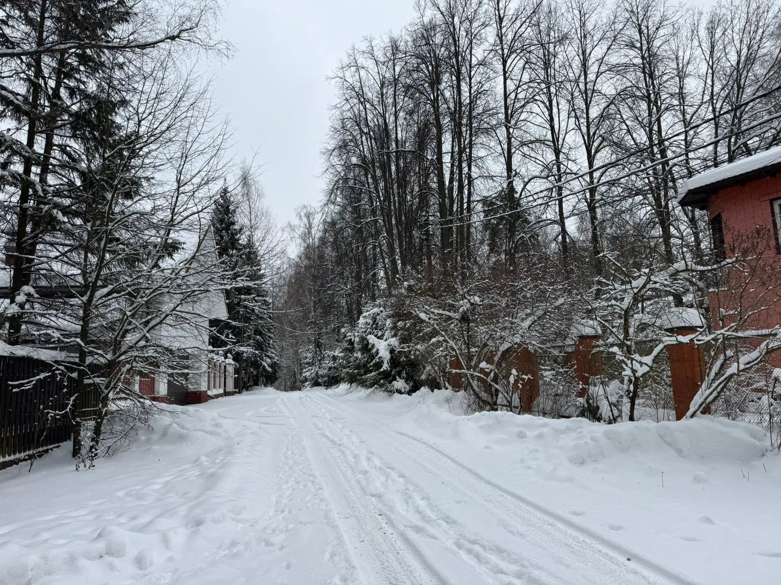 Розовая Дача Зимой, фото 1