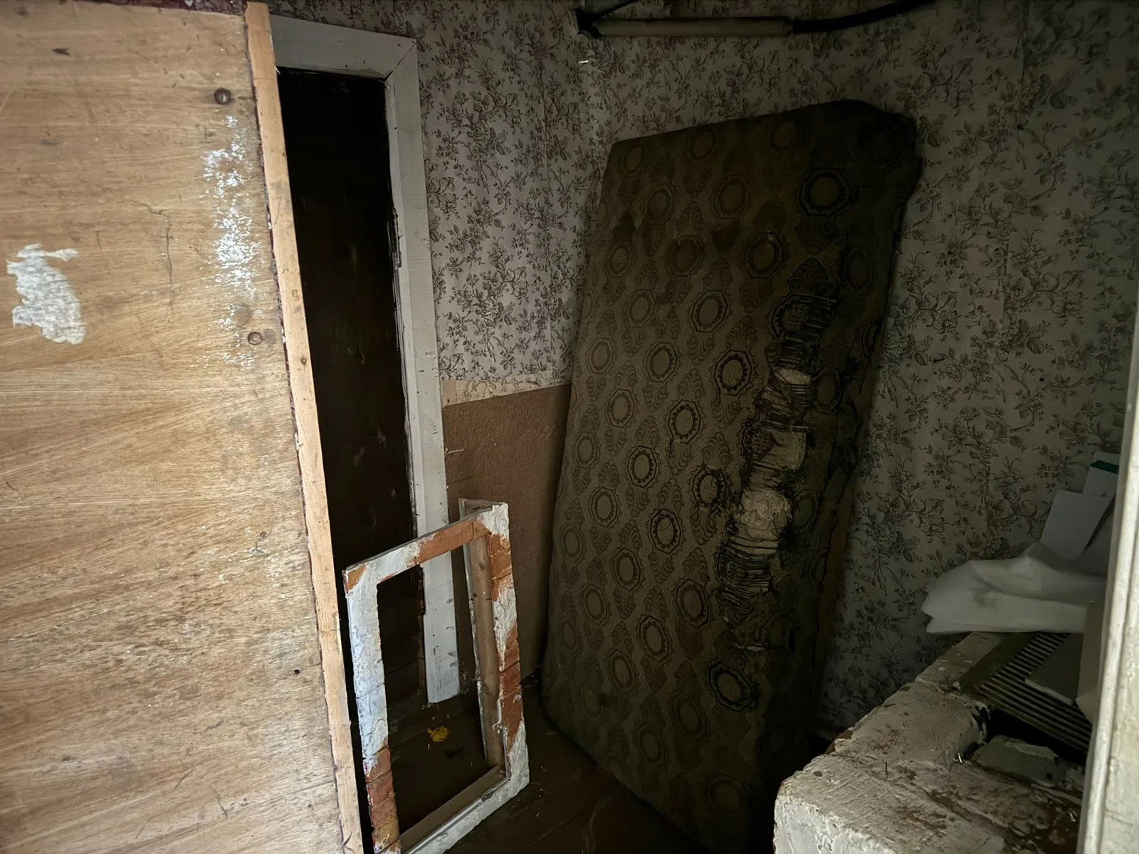 Деревенский дом с пианино, фото 3