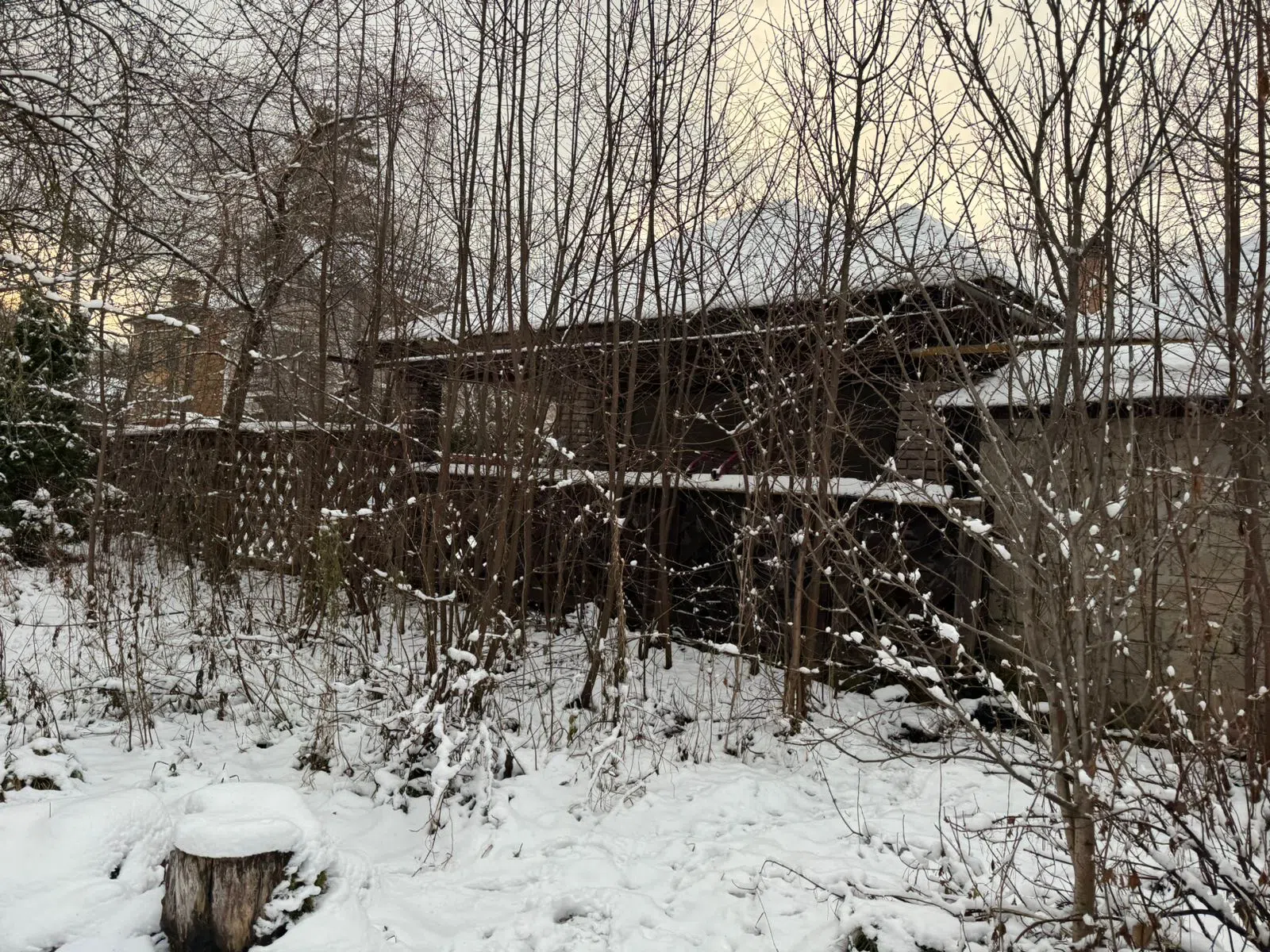 Ретро-дача в заснеженном лесу, фото 5