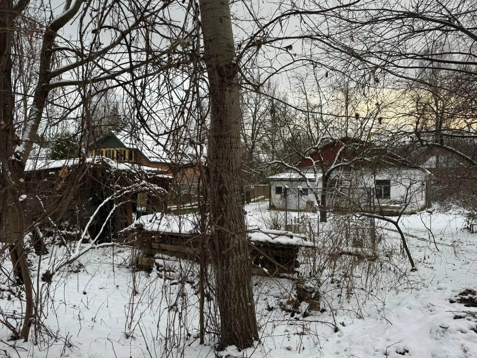 Ретро-дача в заснеженном лесу, фото 20
