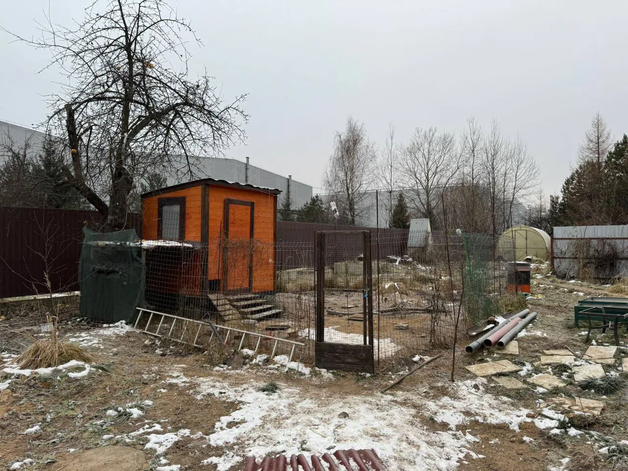 Дача с курятником, фото 2