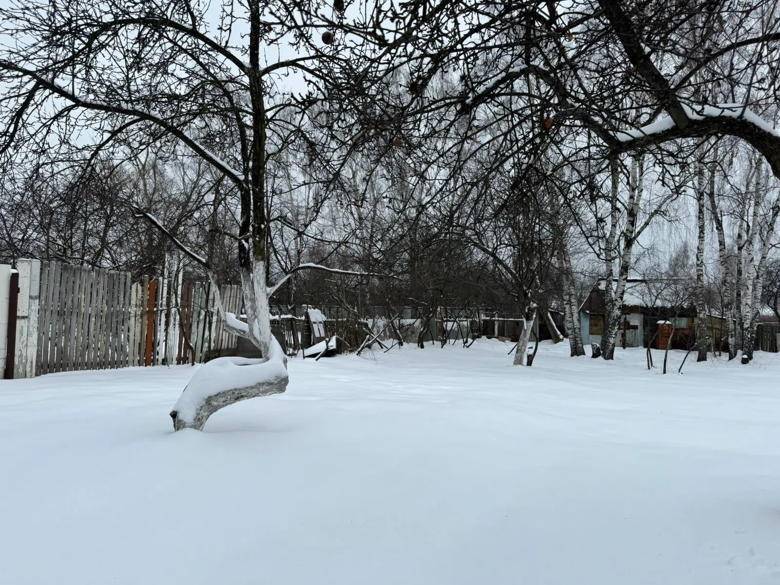 Заснеженная дача в лесу, фото 1