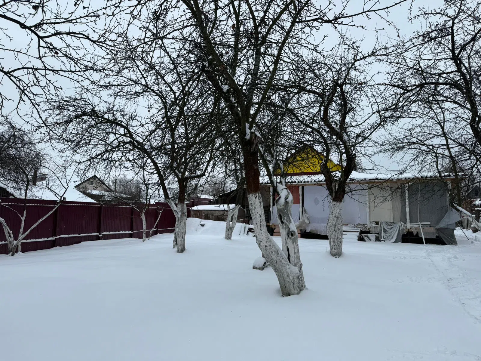 Заснеженная дача в лесу, фото 10