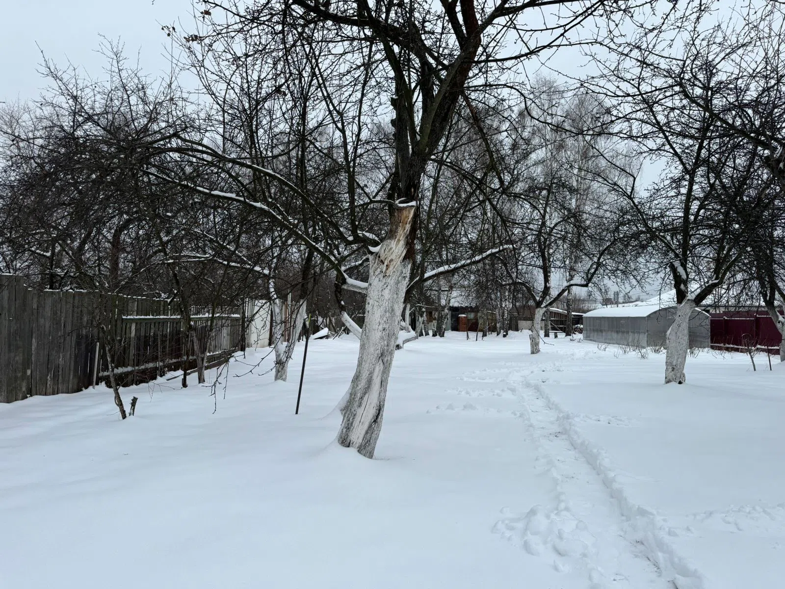 Заснеженная дача в лесу, фото 3