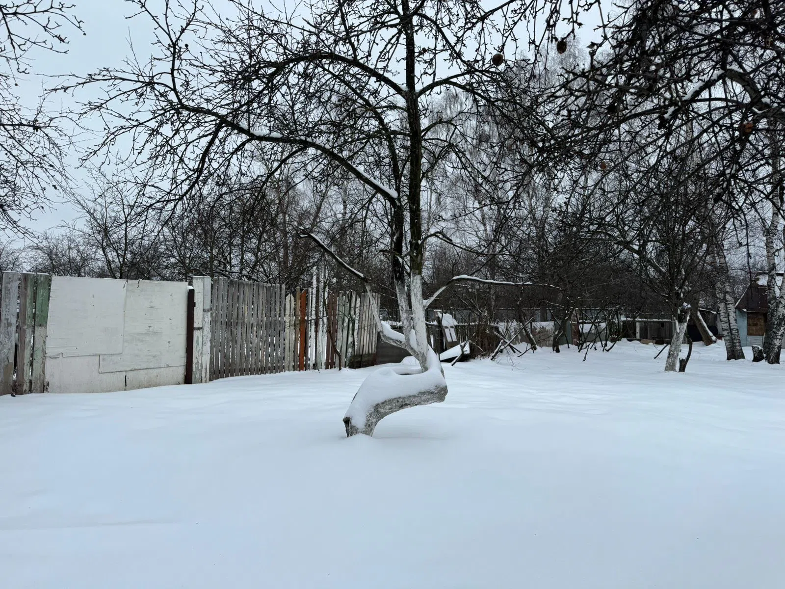Заснеженная дача в лесу, фото 16