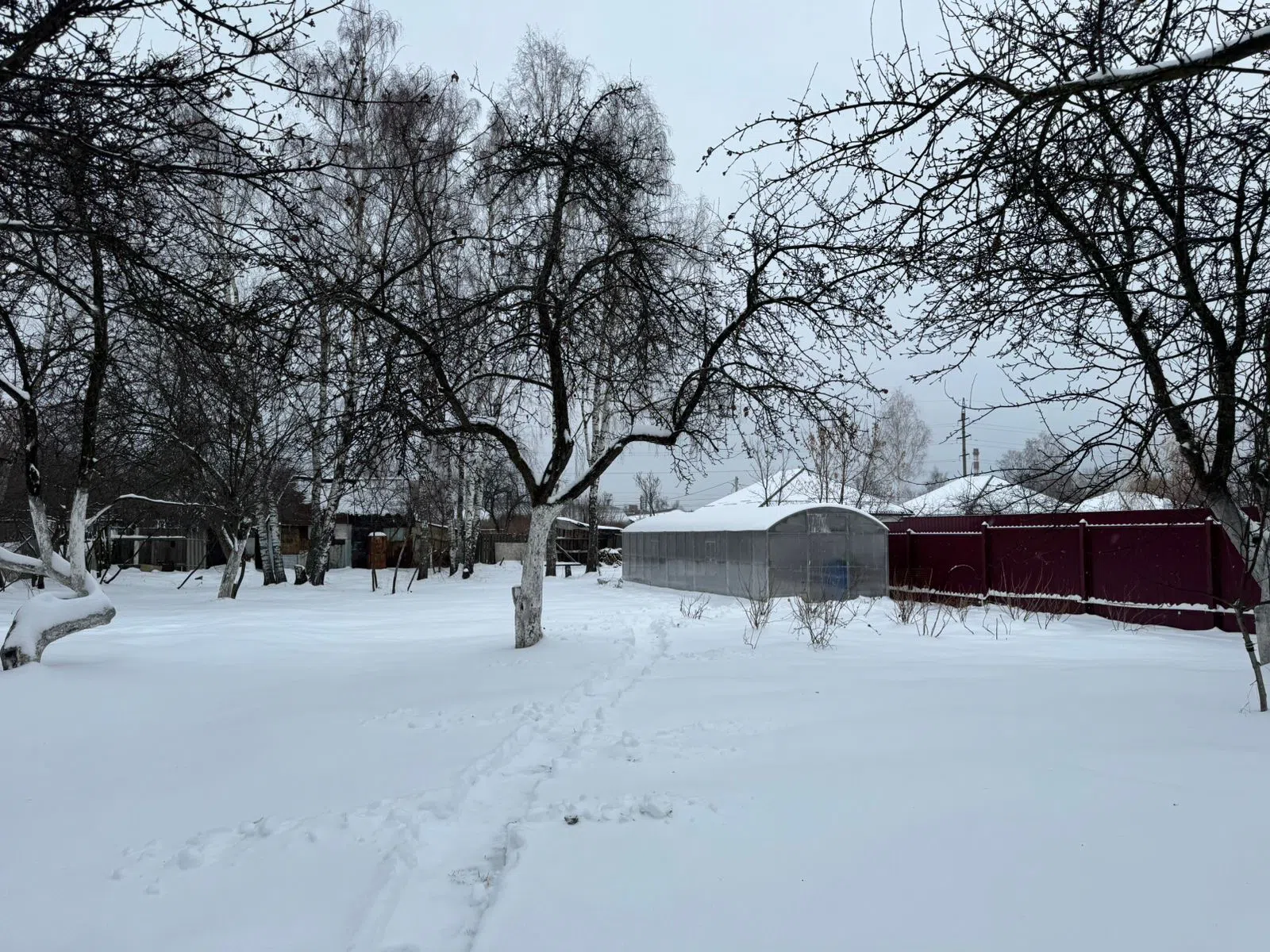 Заснеженная дача в лесу, фото 14