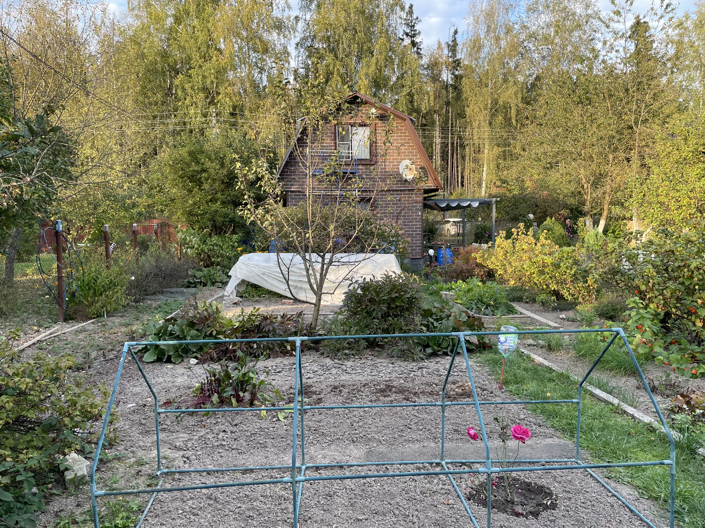 Кирпичная дача с садом, фото 11