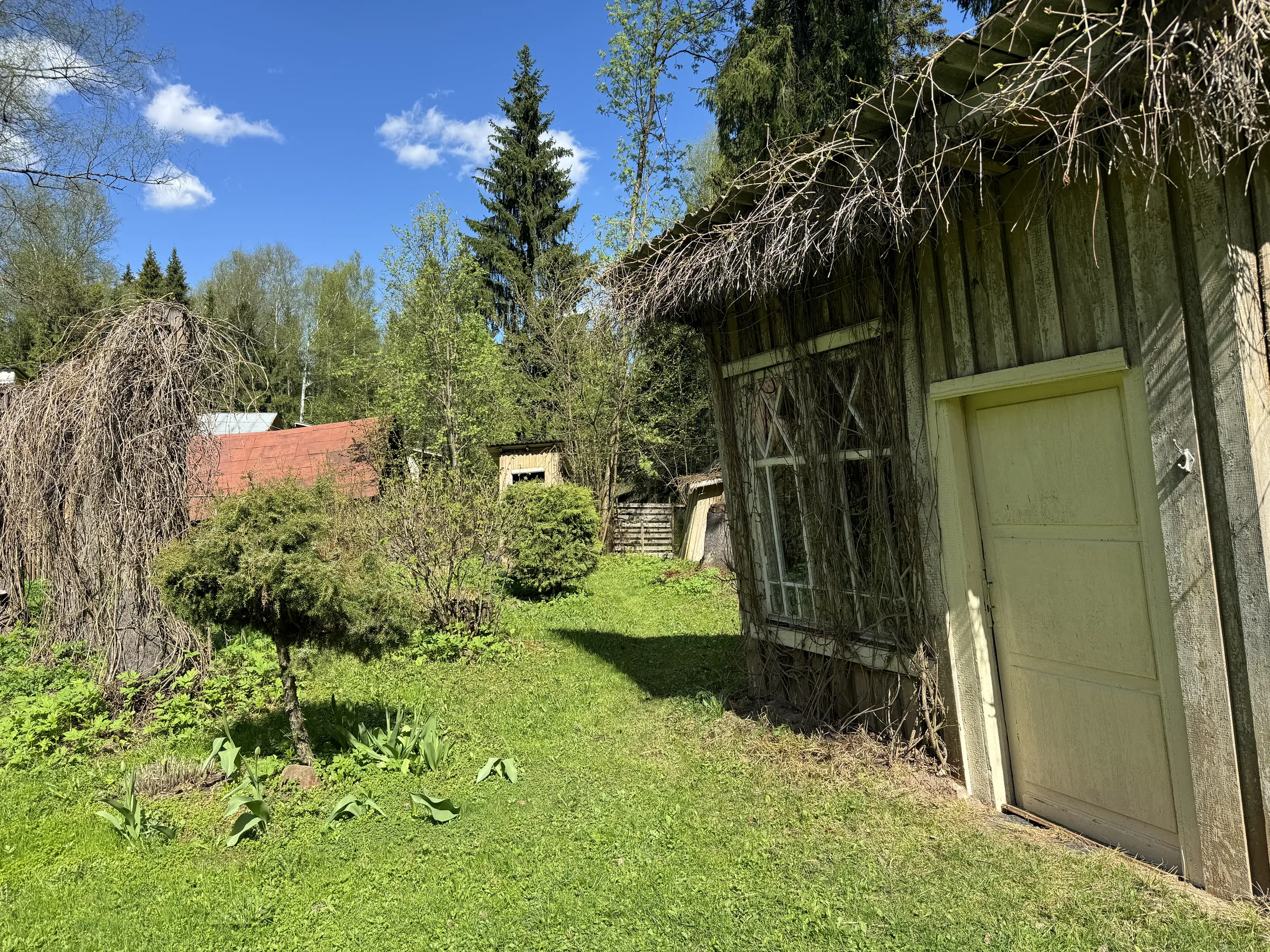 Дача в Ельниках, фото 23