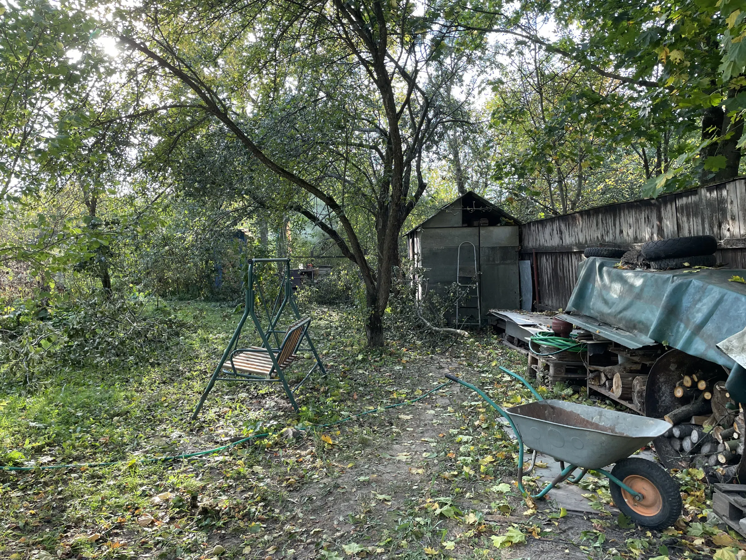 Дача с яблоневым садом, фото 11