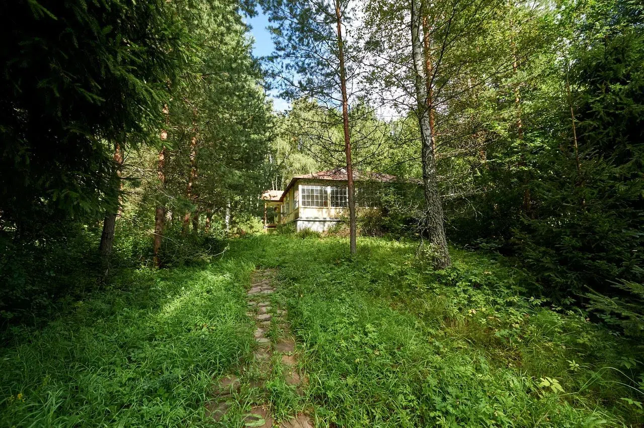 Старые дачи в лесу, фото 15