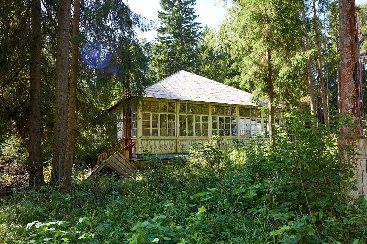 Старые дачи в лесу, фото 6