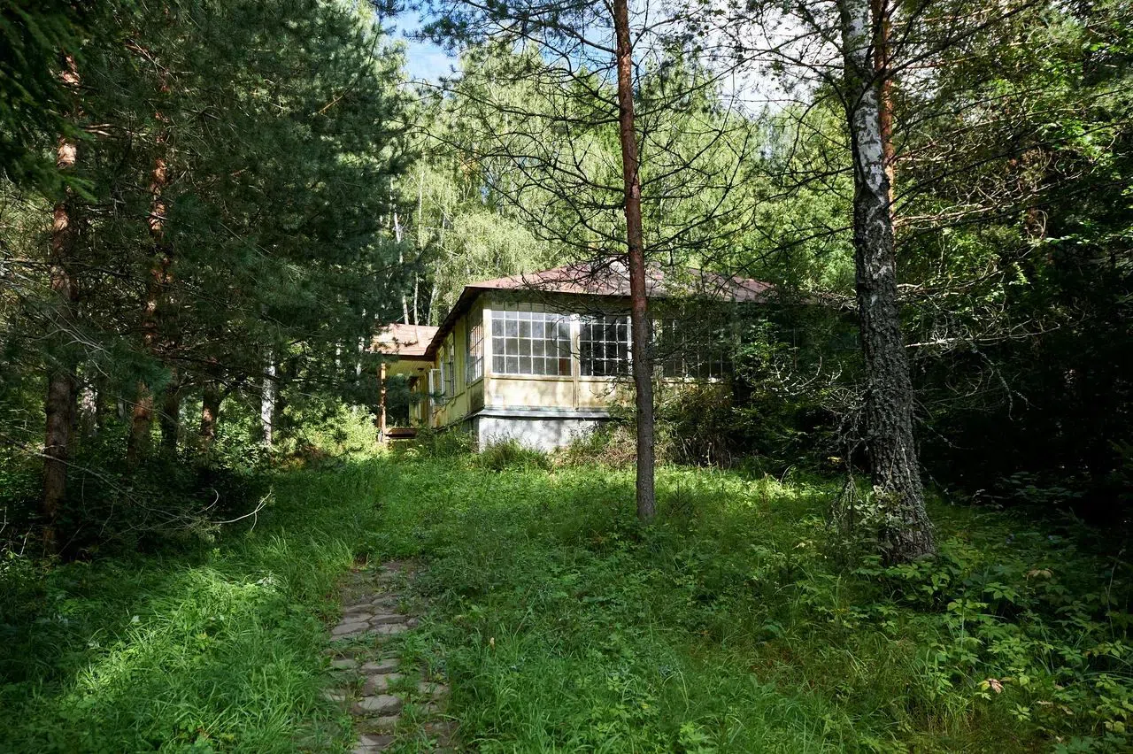 Старые дачи в лесу, фото 17