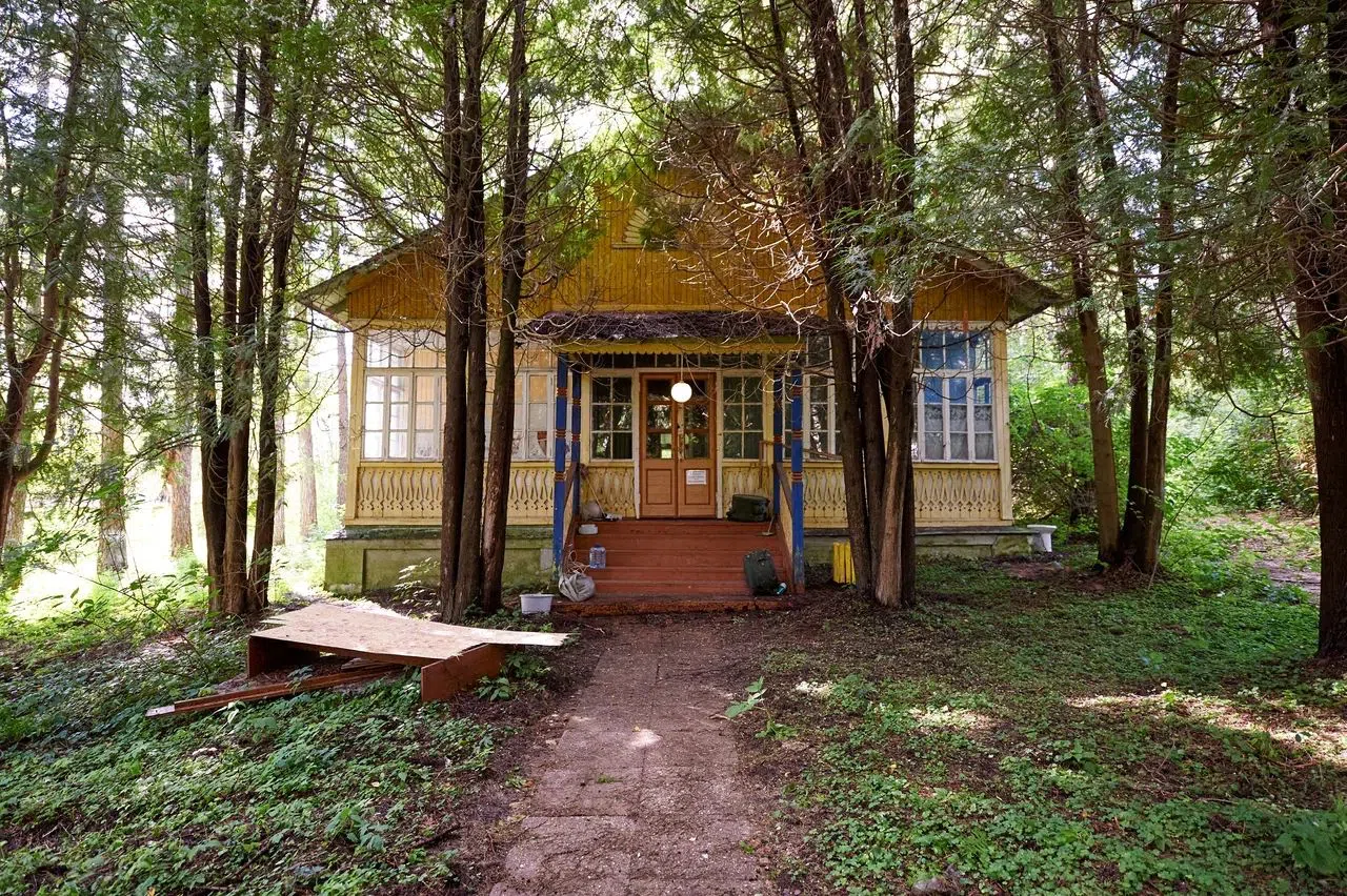 Старые дачи в лесу, фото 23